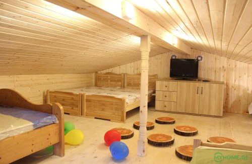Bakurianis Andeziti Apartment | Bakuriani residence