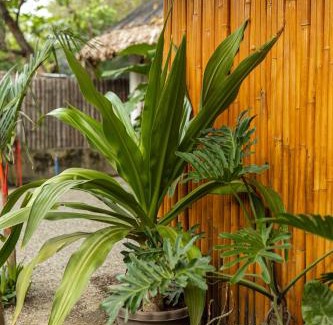 Lian Apartment | Balai Lianne Beach Resort