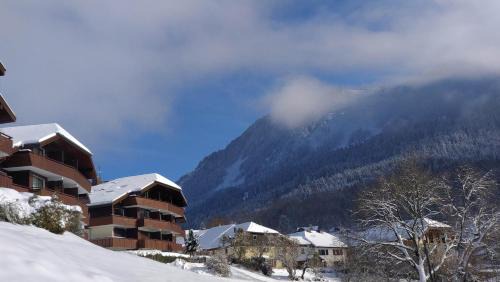 Thollon-les-Memises Apartment | Balcony of lake Geneva