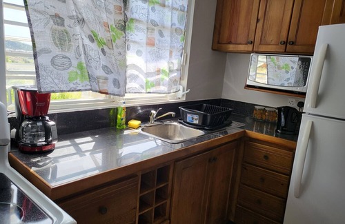 Picard Apartment | Balisier Apt 3- One Bedroom Apartment with Gorgeous Views!