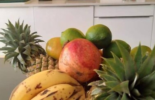 Le Moule Apartment | Balisier : Votre Escapade de Rêve en Guadeloupe