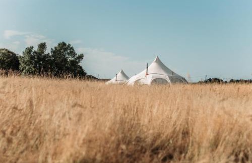 Bamburgh Other | Bamburgh Under Canvas