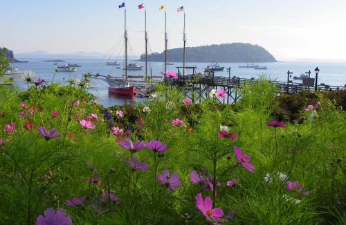 Bar Harbor Hotel | Bar Harbor Inn and Spa
