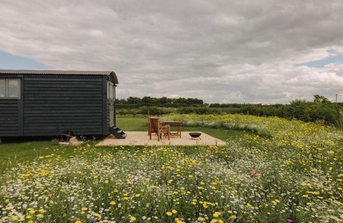 Snettisham Other | Barley Shepherd Hut - Snettisham Meadows