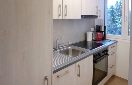 Randogne Apartment | Barzettes-Vacances 553/Entrée N° 14 by Interhome