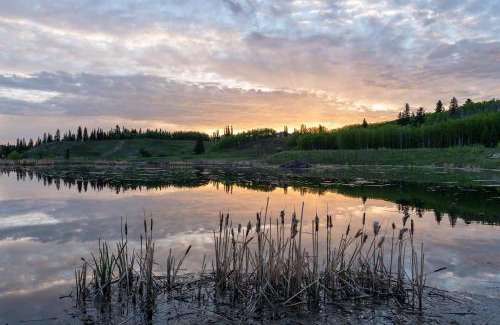 Cranston House | Basement Suite in Calgary - Short Drive to Banff