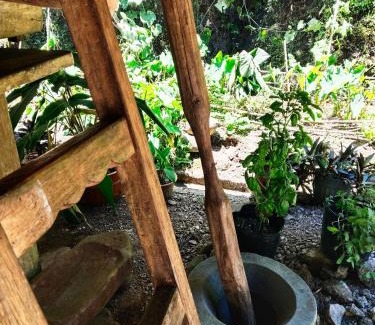 Batad House | Batad Pension and Restaurant Native House