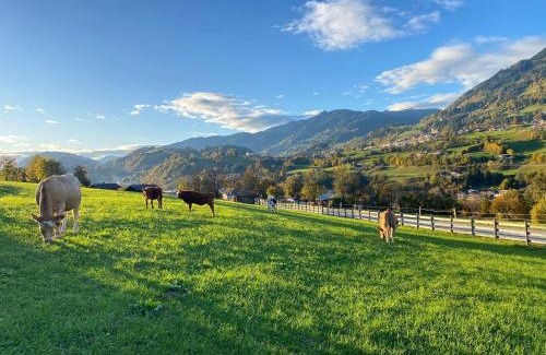 Sankt Veit im Pongau Apartment | Bauernhof Sonnenhuab