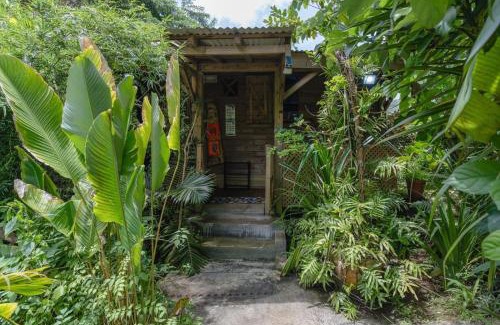 Fond Cani House | Bauhinia-