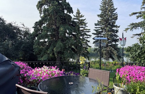 Killarney House | Bayside home with birds, butterflies, deer, and gardens