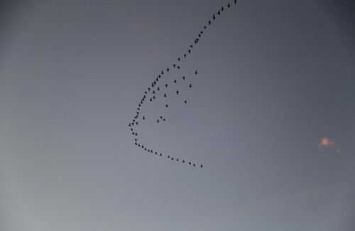 Kamenogorsk House | Baza otdikha Skala