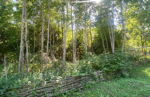 Pereslavl-Zalesskiy House | Baza otdykha Pleshcheevo