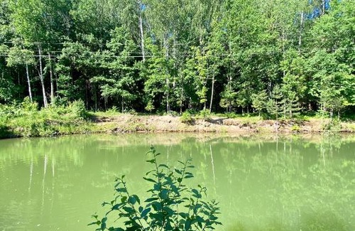 Pereslavl-Zalesskiy House | Baza otdykha Pleshcheevo