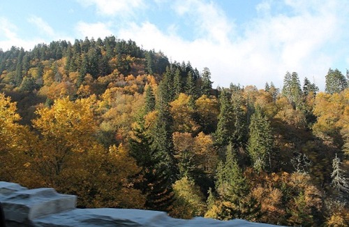 Gatlinburg Resort | BD 1 BA STD-Sleeps 4 WATER PARK MOUNTAIN TOP GATLINBURG 600 SF Pets