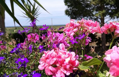 Nardo Bed & Breakfast | Beach House Salento