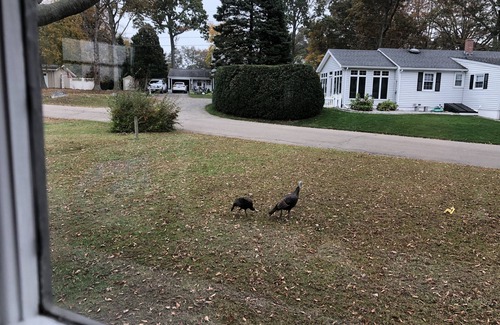 Old Saybrook House | Beach house with views that has access to Tennis, Basketball and Private Beach.
