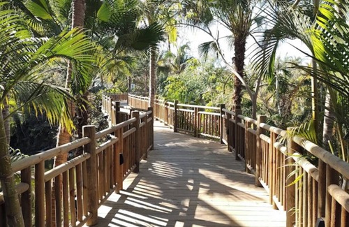 Isla Iguana Apartment | Beach resort w/balcony ft lush pools, dining, fitness, spa & resort activities.