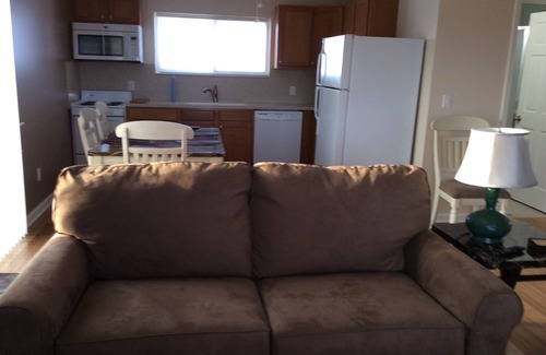 Oak Harbor Apartment | Beach View Retreat: Great for fishing, birders, family vacation, Davis B