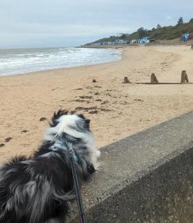 Walton on the Naze House | Beach Walk Cottage