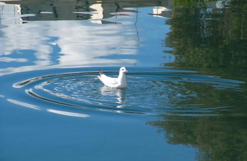 Lefkandi Apartment | Beachfront Penthouse with Seaview