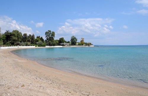 Lefkandi Apartment | Beachfront Penthouse with Seaview