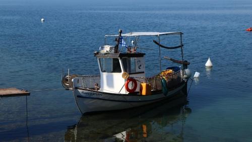 Lefkandi Apartment | Beachfront Penthouse with Seaview