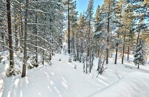 Country Club Estates House | Bear Haus - Sledding At Cabin - Forest Views - Foosball