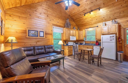 Sautee Nacoochee Cabin | Bear Hug - Endorsed by Theodore Bear, a.k.a. "Teddy"