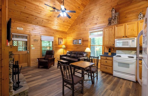 Sautee Nacoochee Cabin | Bear Hug - Endorsed by Theodore Bear, a.k.a. "Teddy"