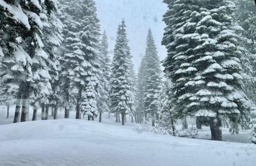 Truckee House | Bear Meadows Lodge - Hot Tub - Tahoe Donner Home