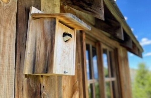 Ennis Cabin | Bear's Den on Firetower ranch