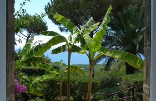 Castiglione della Pescaia House | Beautiful Villa with Private Garden and Wonderful Sea View