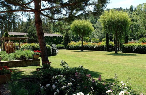 Montopoli in Val d'Arno Villa | Beautiful private villa for 8 people with pool, WIFI, TV, patio, panoramic view and parking