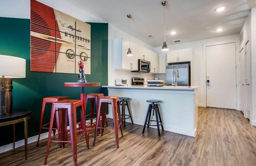 Riverside Apartment | Beautiful 1BR in Austin Riverside 3206