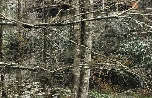 Maggie Valley House | Beautiful 2.5 bedroom/2bathroom with loft home on creek with mountains 43 acres.