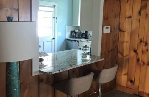 Whitmore Lake House | Beautiful 3-bedroom LAKEFRONT home near Ann Arbor