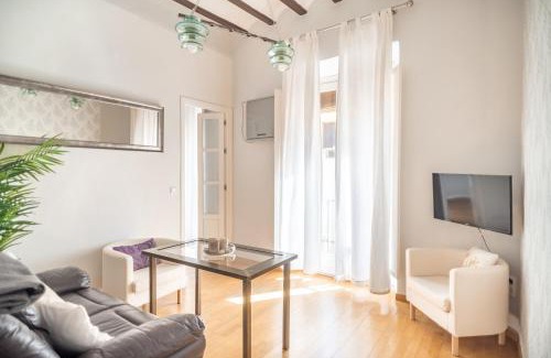 San Roque Apartment | Beautiful and bright- 1Bd 1Bth- Center