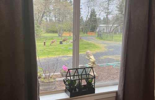 Alvadore House | Beautiful and peaceful house in Veneta Oregon!