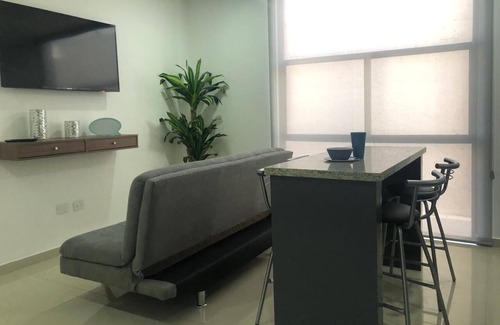 Ferrocarrilera Apartment | Beautiful apartment just two blocks from the malecon