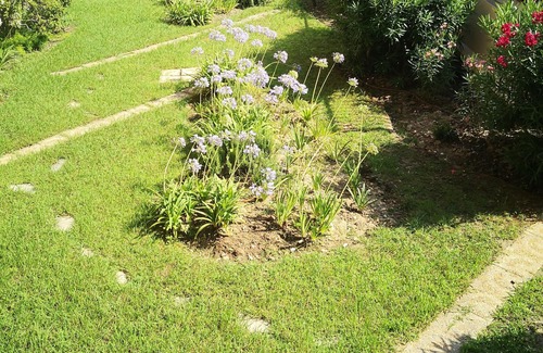 Jean-Medecin Apartment | Beautiful apartment with terrace (if Parking space necessary add100€ per week)
