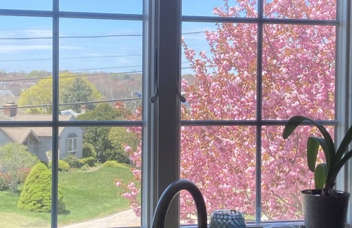 Bonnet Shores House | Beautiful Beach House with fantastic ocean views! Short walk to beach.