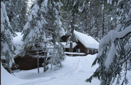 Dorrington Cabin | Beautiful Cabin in Big Trees