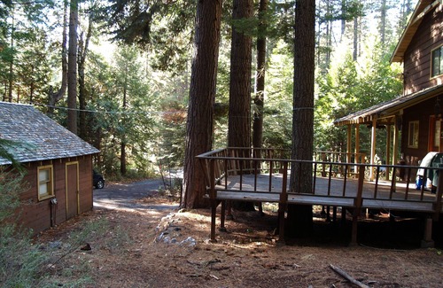 Dorrington Cabin | Beautiful Cabin in Big Trees