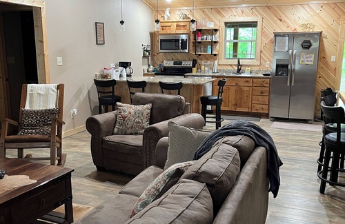 Carlisle Cabin | Beautiful Cabin with View of Private Lake, Hot Tub & Outdoor Swings!