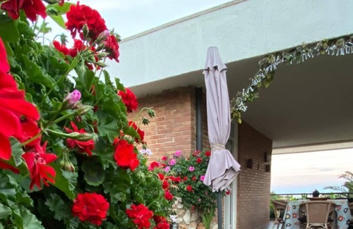 Roques Daurades Villa | BEAUTIFUL CHALET, FIRST LINE OF SEA