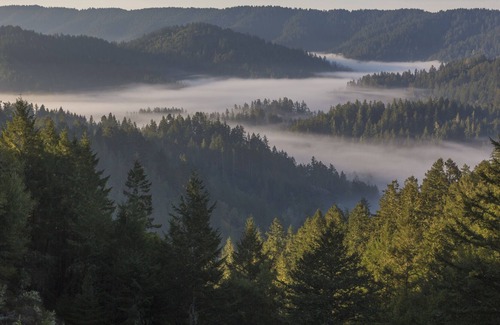 Lagunitas-Forest Knolls Cabin | Beautiful End of the Road Cabin on Top of Ridge - Pet Friendly
