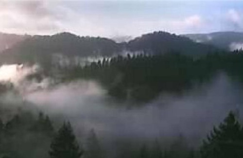 Lagunitas-Forest Knolls Cabin | Beautiful End of the Road Cabin on Top of Ridge - Pet Friendly