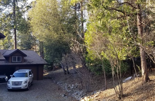 Cascadel Woods House | Beautiful forest getaway from city noise and traffic