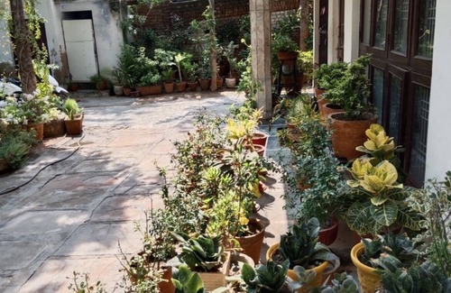 Taj Ganj Bed & Breakfast | Beautiful homestay-5 minutes away from the Taj Mahal!