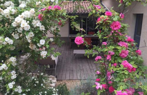 Taillades House | Beautiful house in the heart of its pine forest - private pool